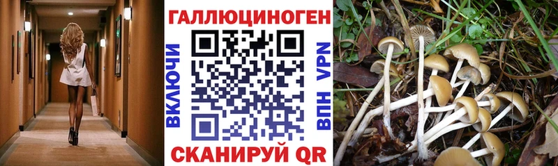 Галлюциногенные грибы прущие грибы Мглин