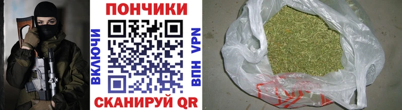 купить наркотики цена  Мглин  mega как войти  Бошки Шишки SATIVA & INDICA 